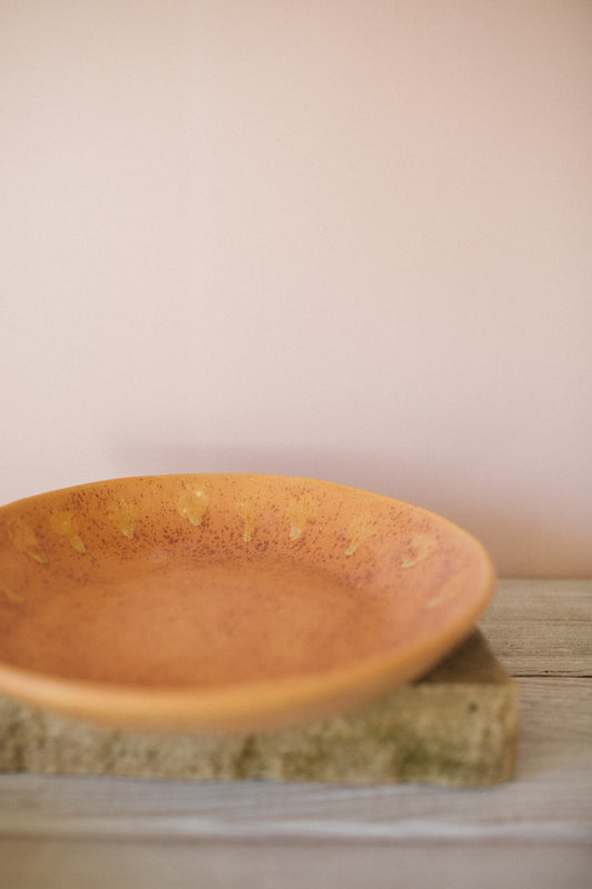 Large Ceramic Bowl- Arizona